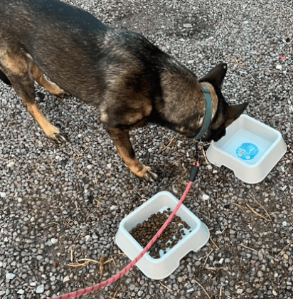 Water break