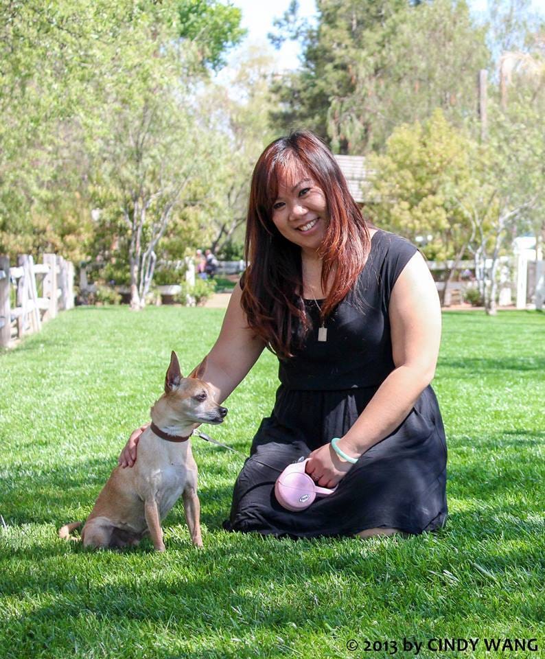 Dog Training in Pasadena/SGV area Pasadena, CA