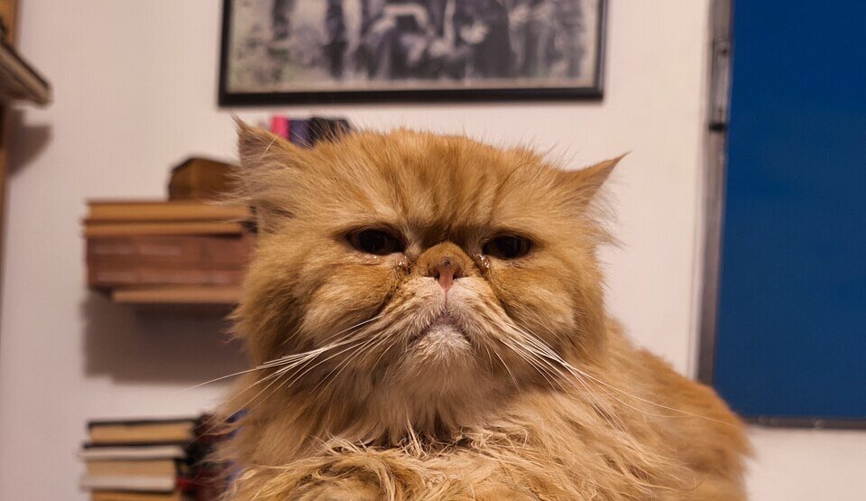 Persian